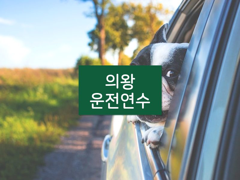 의왕운전연수 후기
