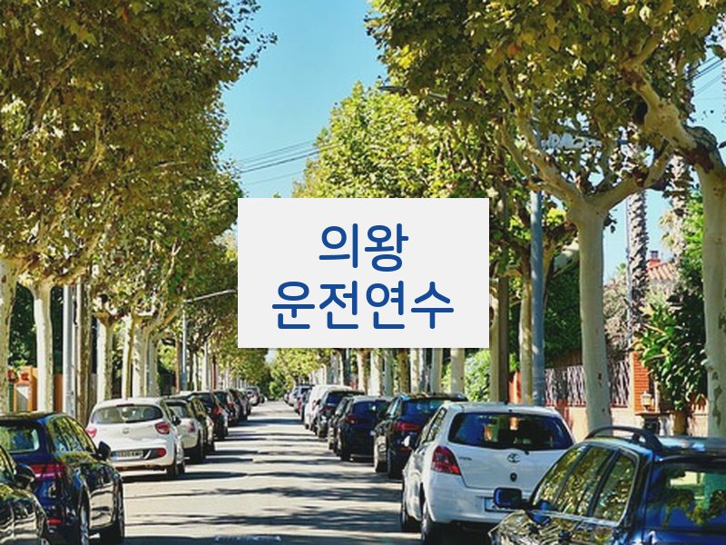 의왕운전연수 후기