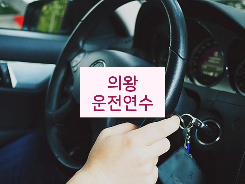 의왕운전연수 후기
