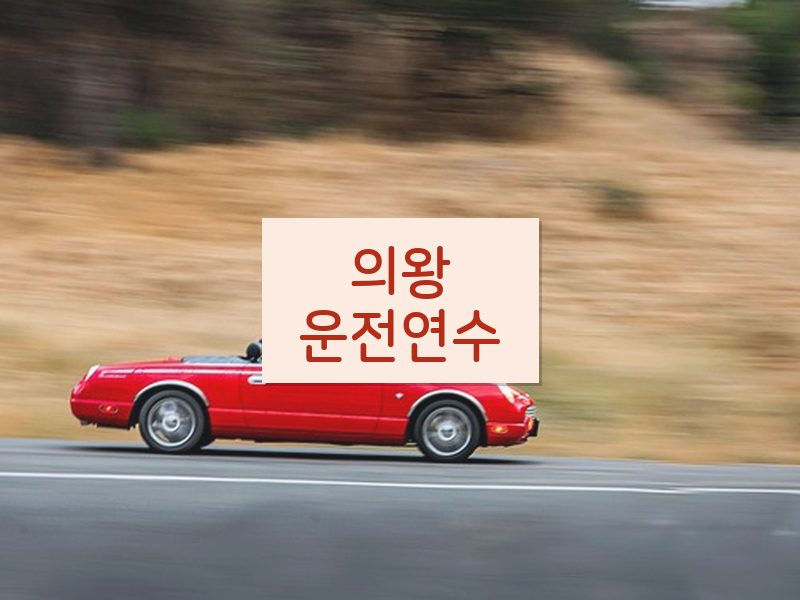 의왕운전연수 후기