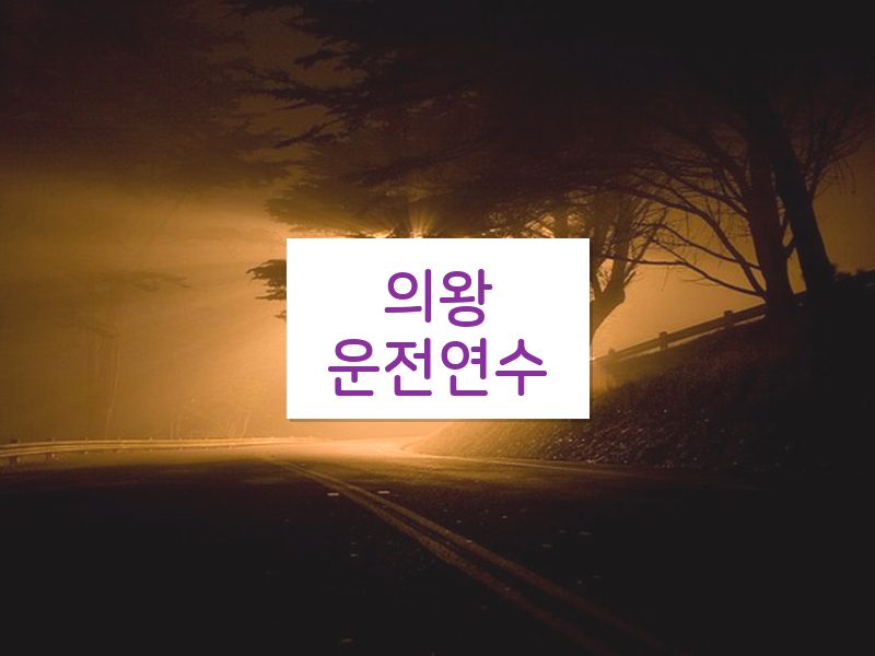 의왕운전연수 후기