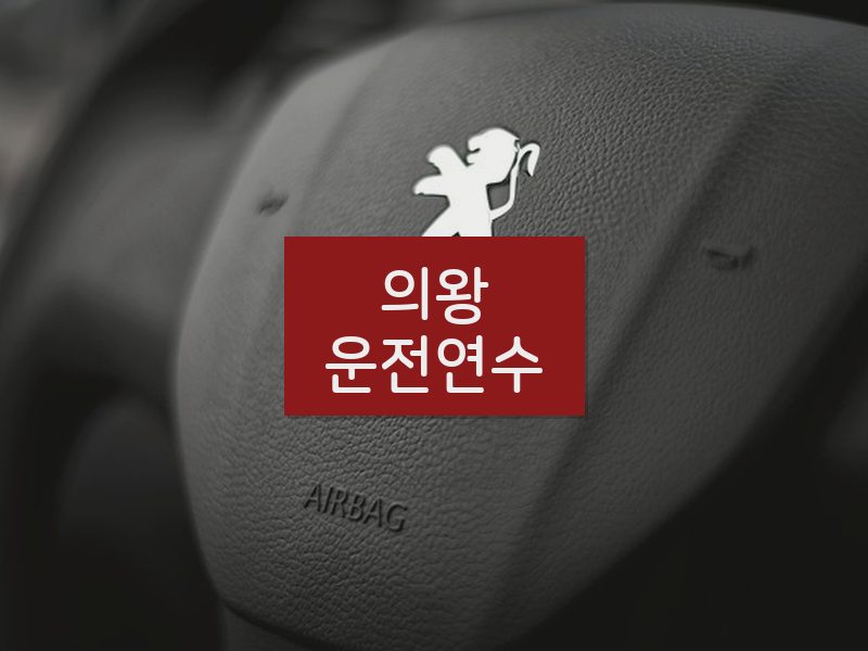 의왕운전연수 후기