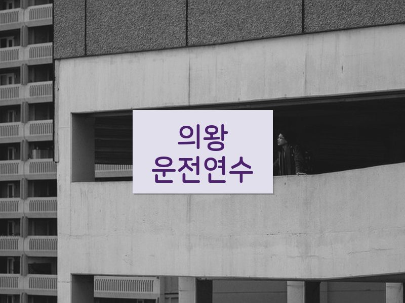 의왕운전연수 후기