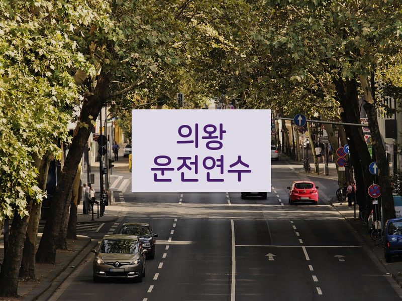 의왕운전연수 후기