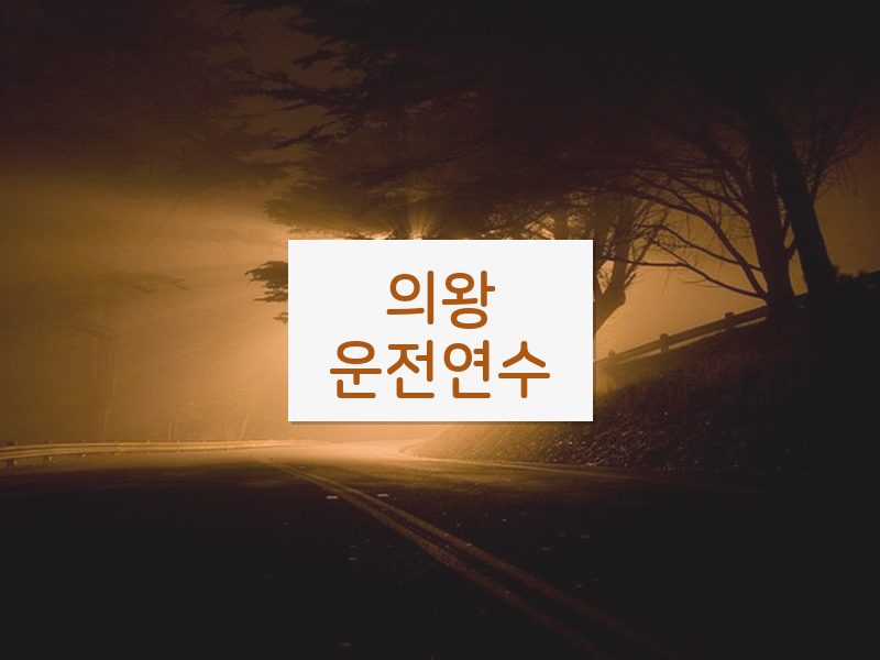 의왕운전연수 후기