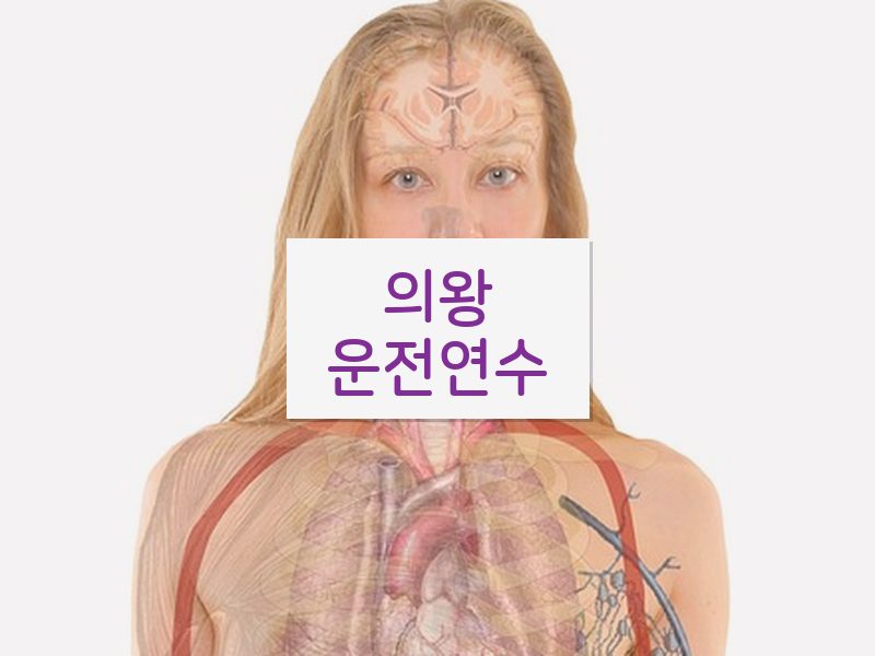 의왕운전연수 후기
