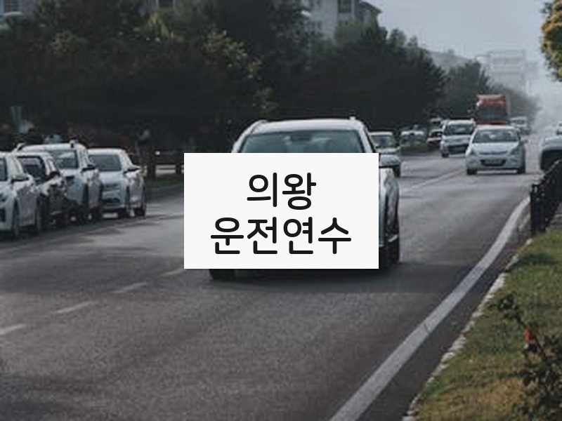의왕운전연수 후기