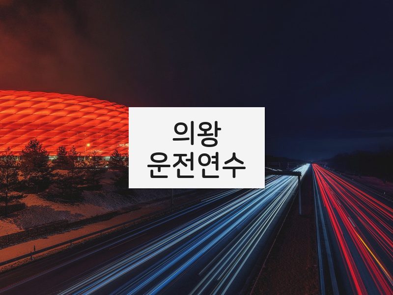 의왕운전연수 후기