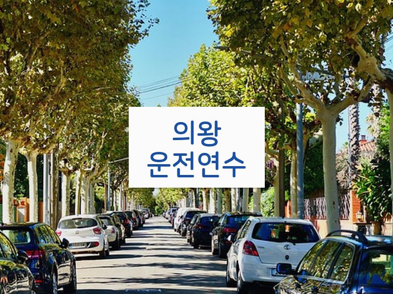 의왕운전연수 후기