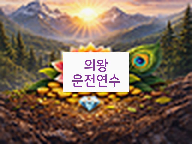의왕운전연수 후기