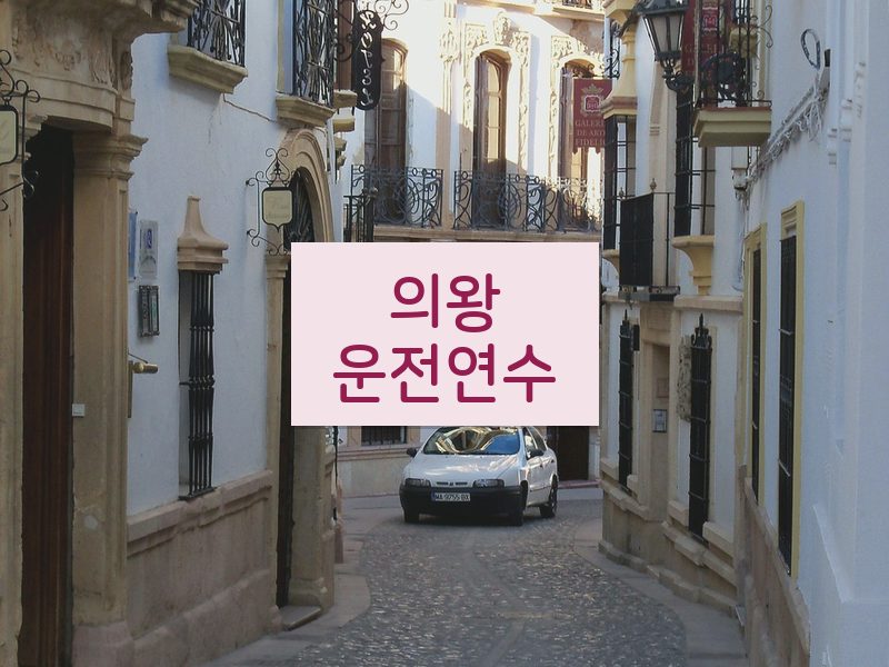 의왕운전연수 후기