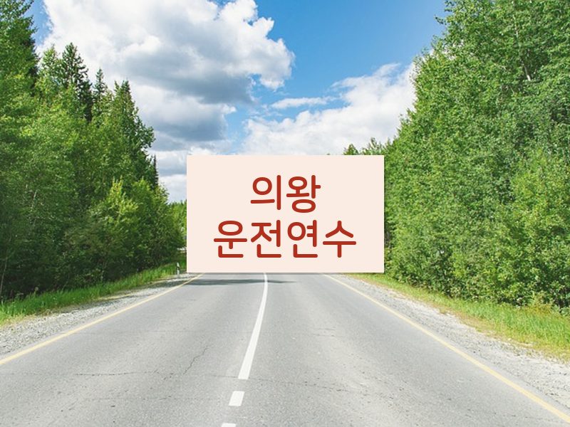 의왕운전연수 후기