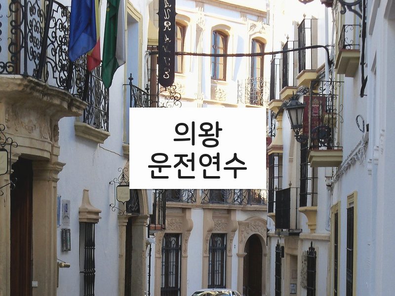 의왕운전연수 후기