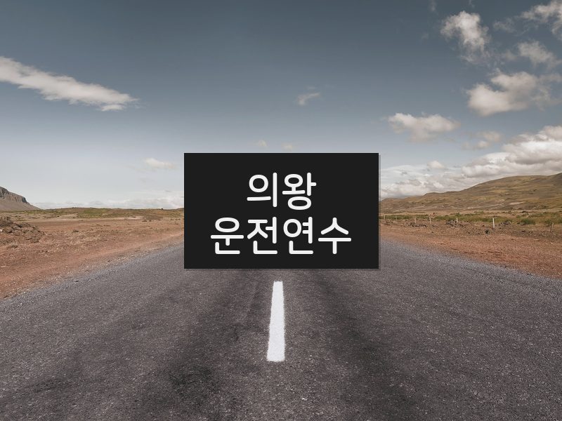 의왕운전연수 후기