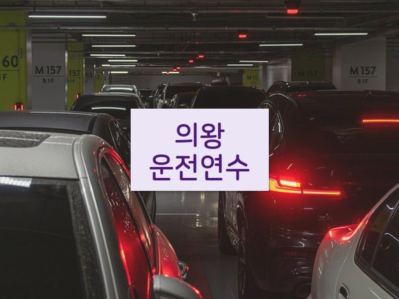 의왕운전연수 후기