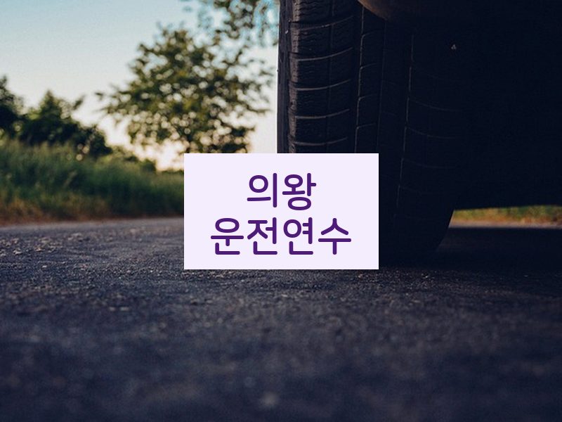 의왕운전연수 후기