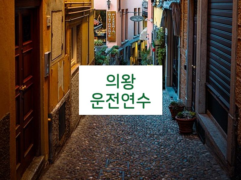 의왕운전연수 후기
