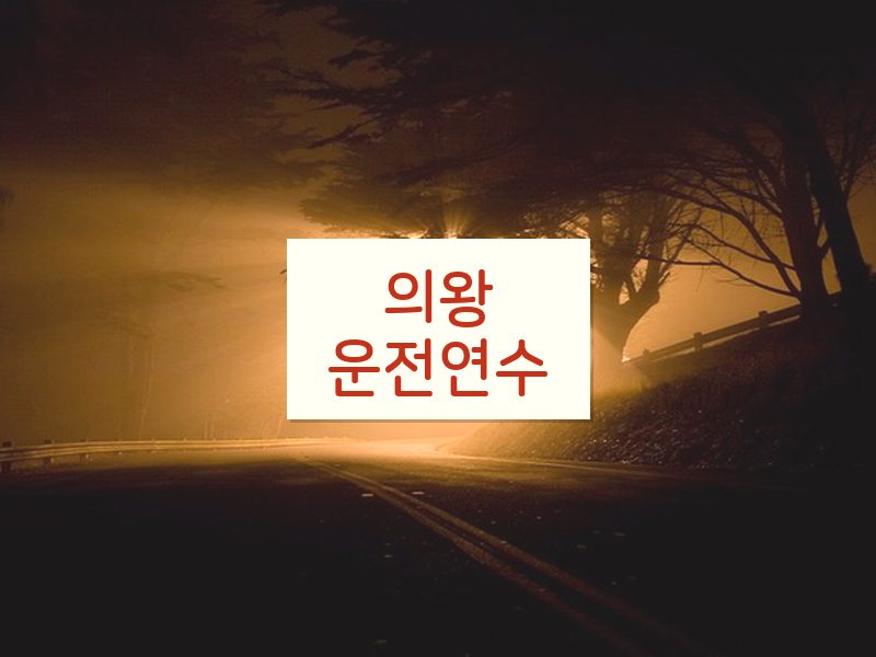 의왕운전연수 후기