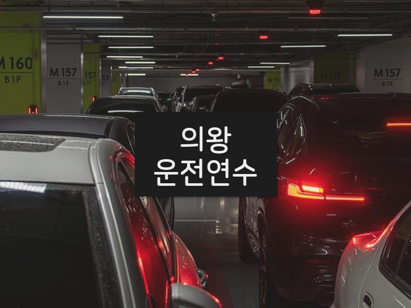 의왕운전연수 후기