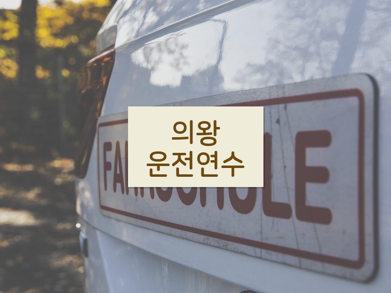 의왕운전연수 후기