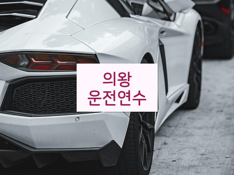 의왕운전연수 후기