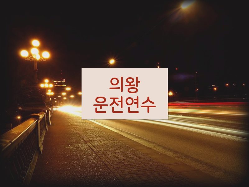 의왕운전연수 후기