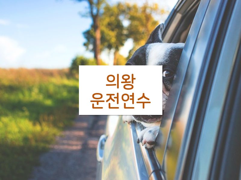 의왕운전연수 후기