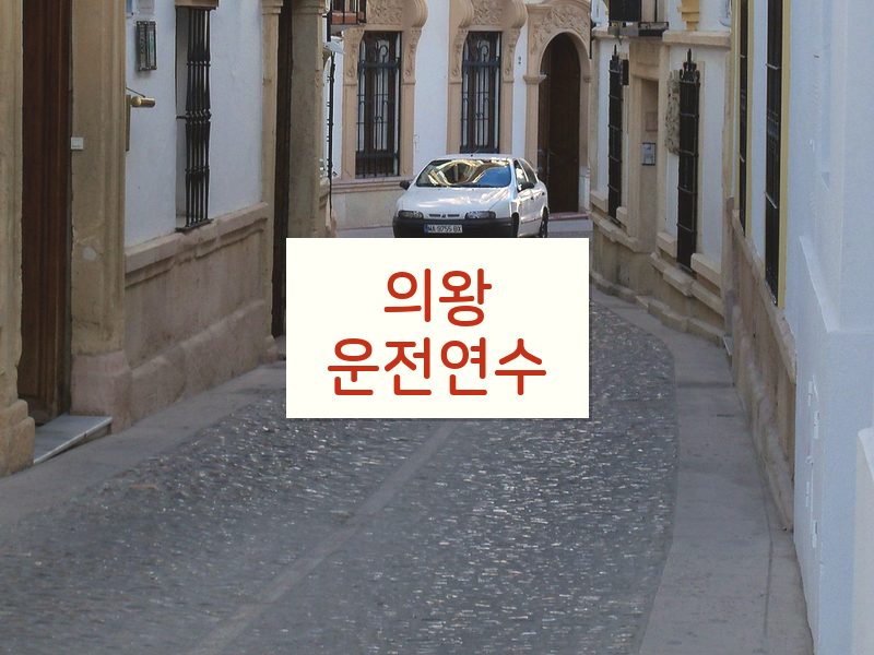 의왕운전연수 후기