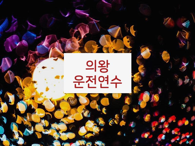의왕운전연수 후기