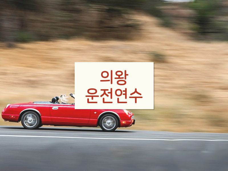 의왕운전연수 후기