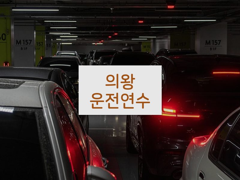 의왕운전연수 후기