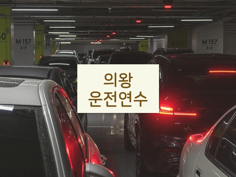 의왕운전연수 후기