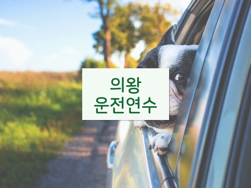 의왕운전연수 후기