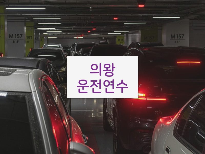 의왕운전연수 후기