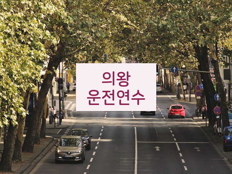 의왕운전연수 후기