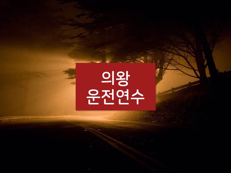의왕운전연수 후기