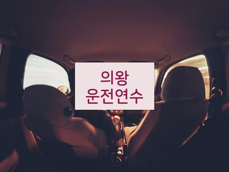 의왕운전연수 후기