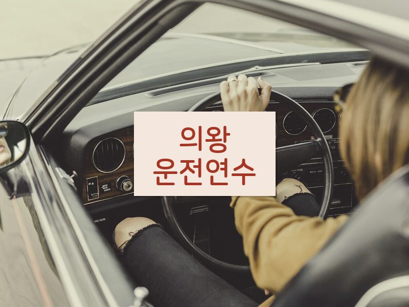 의왕운전연수 후기