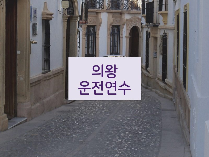 의왕운전연수 후기