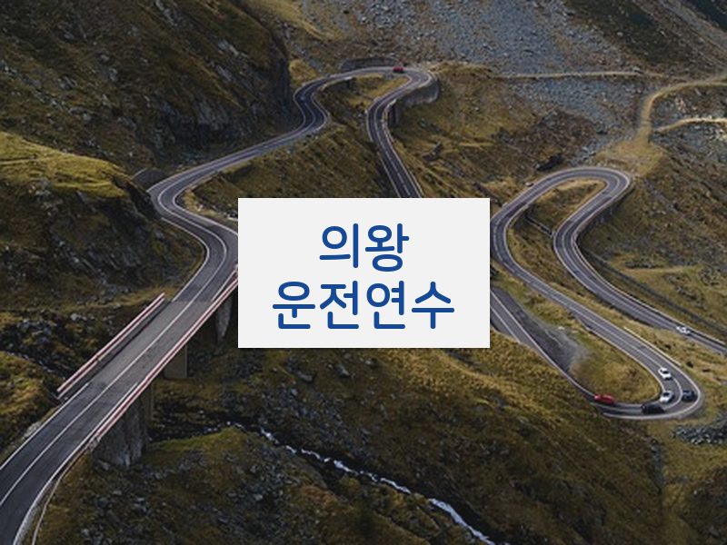 의왕운전연수 후기