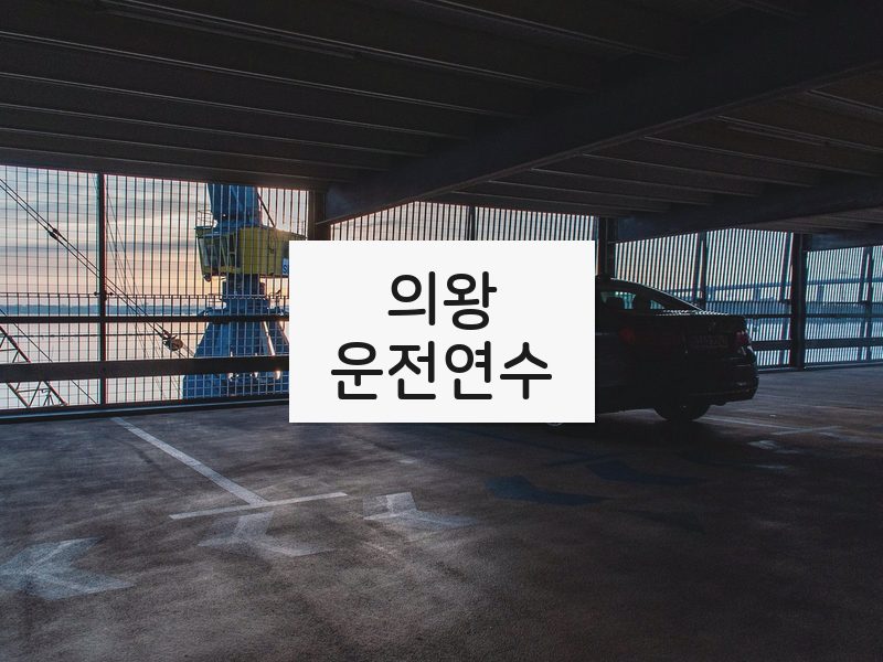 의왕운전연수 후기