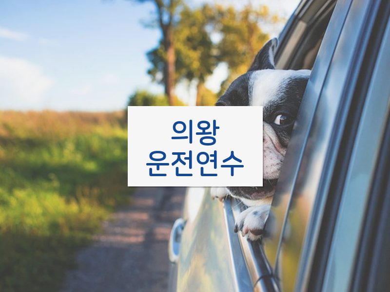 의왕운전연수 후기