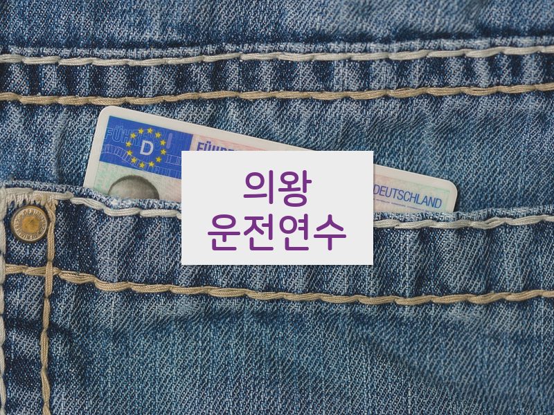 의왕운전연수 후기