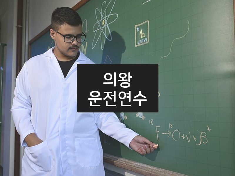 의왕운전연수 후기