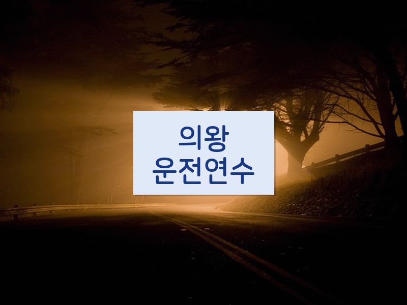 의왕운전연수 후기