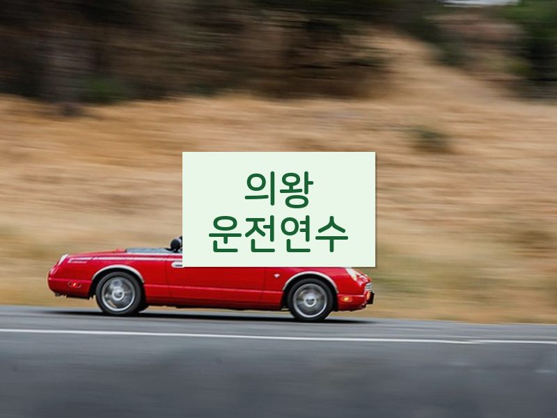 의왕운전연수 후기
