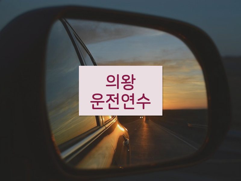 의왕운전연수 후기
