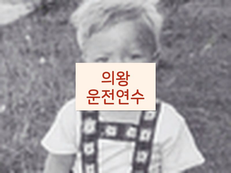 의왕운전연수 후기