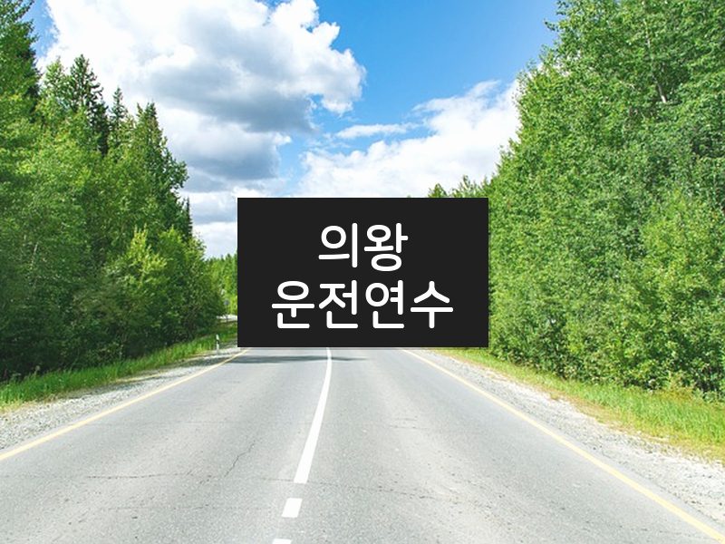 의왕운전연수 후기