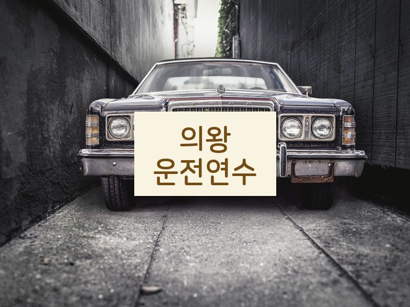 의왕운전연수 후기